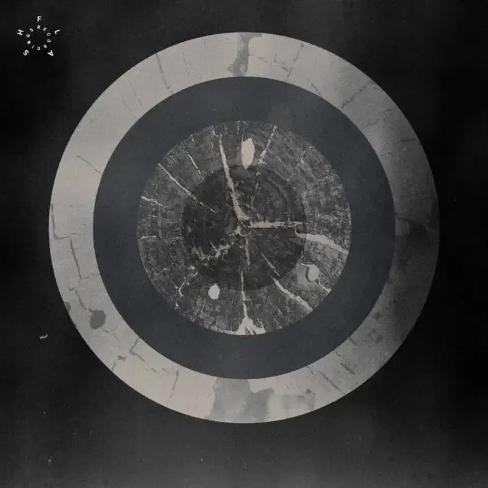 Salvatore Foglia - Matter Fields Proximity EP on FLASH Recordings (DJ Tools) / Techno (Raw / Deep / Hypnotic)