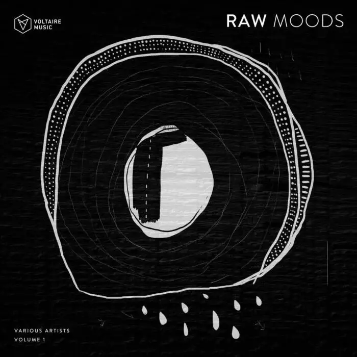 VA – Raw Moods Vol. 1 on Voltaire Music