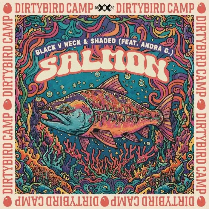 Shaded (LA), Black V Neck - Salmon (feat. Andra G.) on DIRTYBIRD (DJ Tools) / Tech House