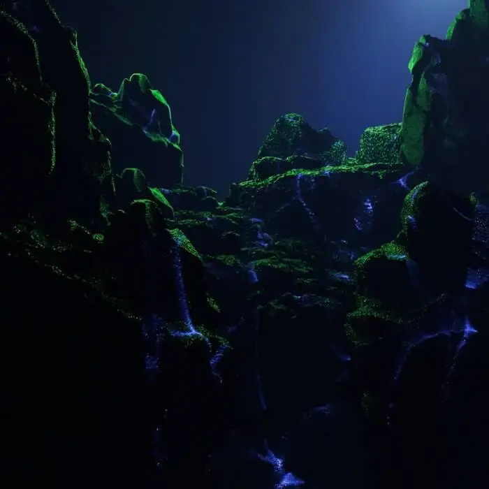 Twerking Class Heroes - Bloop on Oro Negro (DJ Tools) / Electronica