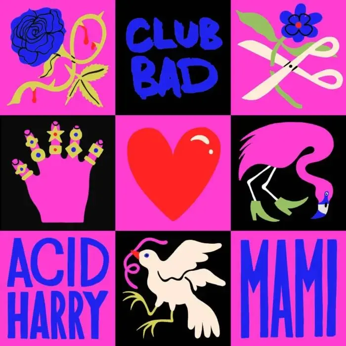 ACID HARRY - Mami on Club Bad (DJ Tools) / House