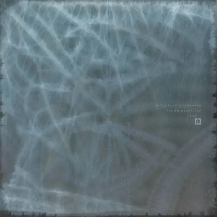 Tammo Hesselink - Naturally Occurring on Redstone Press (Download) / Bass / Club