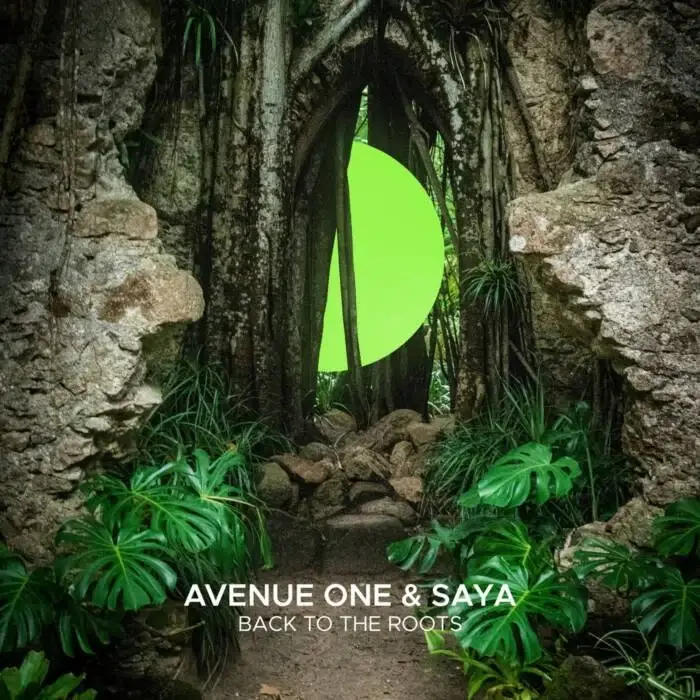 Avenue One, Saya (CA) - Back To The Roots on Sekora (Download) / House