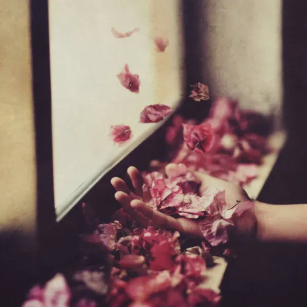 Petre Inspirescu - Petre Inspirescu/vîntul Prin Salcii / Mule Musiq (DJ Tools) / Electronica / Downtempo