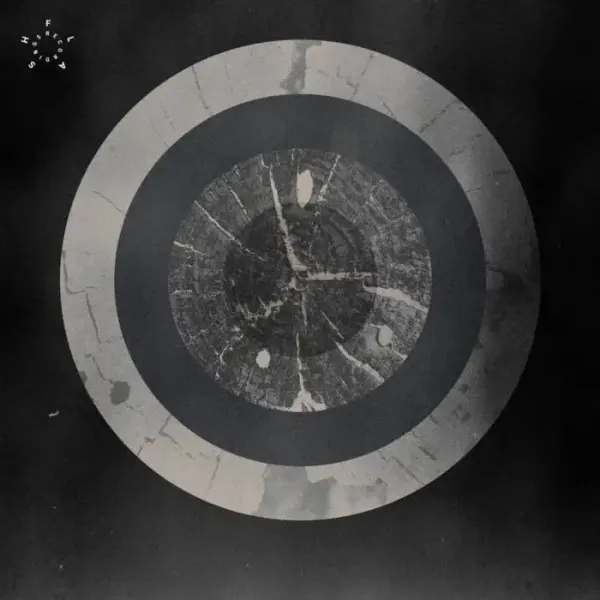 Salvatore Foglia - Matter Fields Proximity EP on FLASH Recordings (DJ Tools) / Techno (Raw / Deep / Hypnotic)