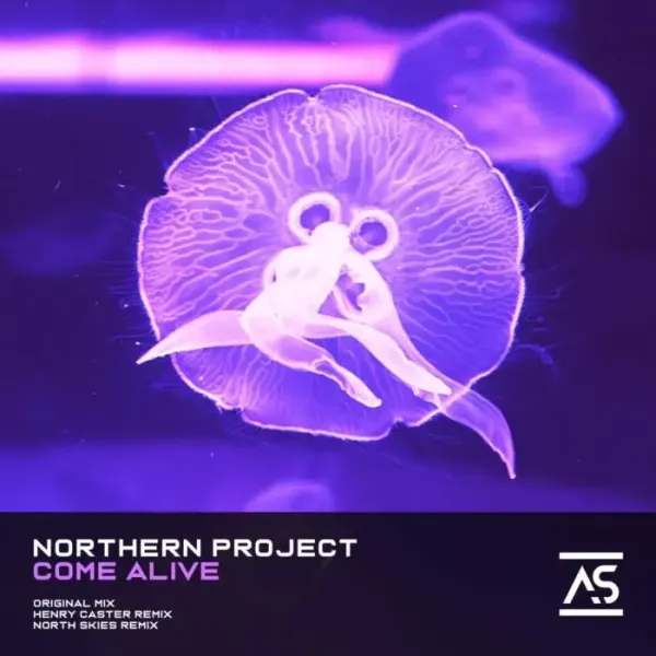 Northern Project – Come Alive on Addictive Sounds