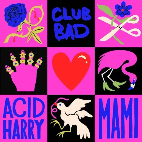 ACID HARRY - Mami on Club Bad (DJ Tools) / House