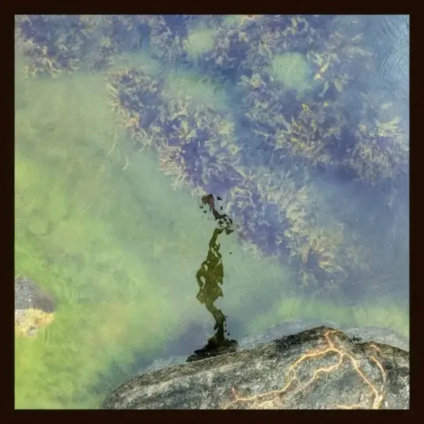 Night Gestalt - 7 Modes for a Revolution on Opal Tapes (DJ Tools) / Bass / Club