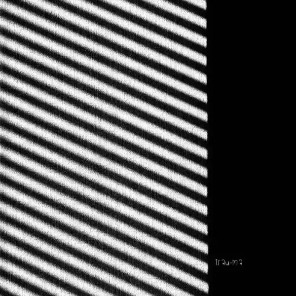 RÆV - Dust & Motion on trau-ma (Download) / Techno (Raw / Deep / Hypnotic)