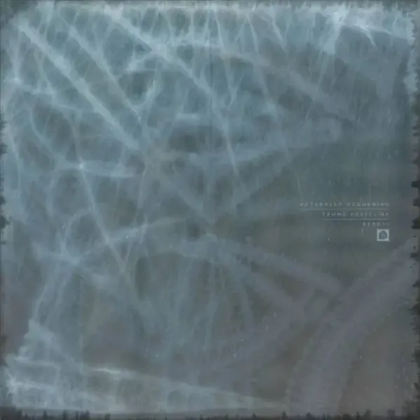 Tammo Hesselink - Naturally Occurring on Redstone Press (Download) / Bass / Club