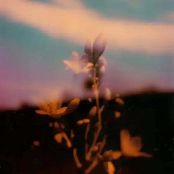 John Hayes - Gone on Nettwerk Music Group (Download) / Electronica